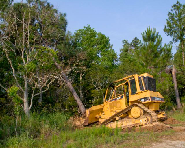 Lot Clearing