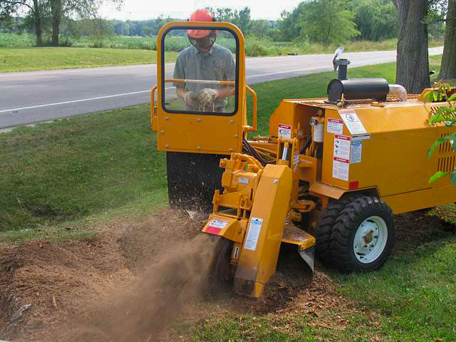 Stump Grinding